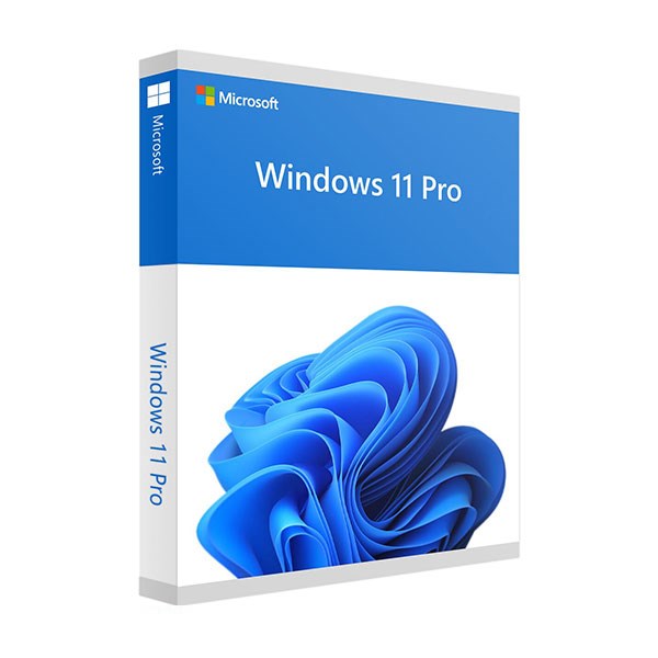 Windows 11 Professional_1