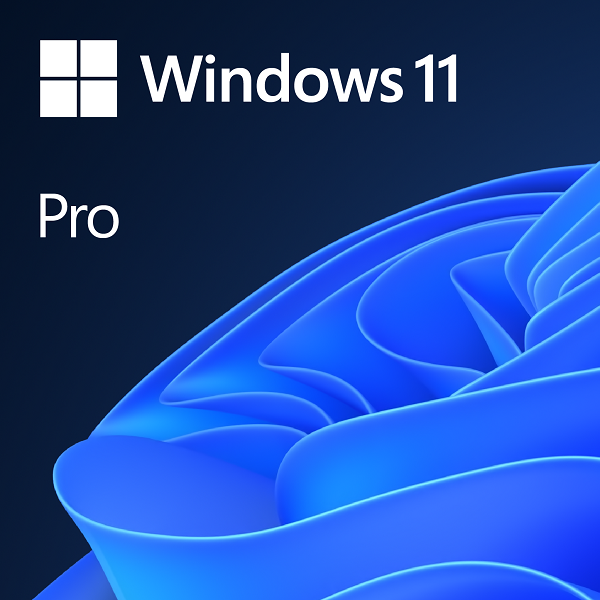 Windows 11 Professional_3
