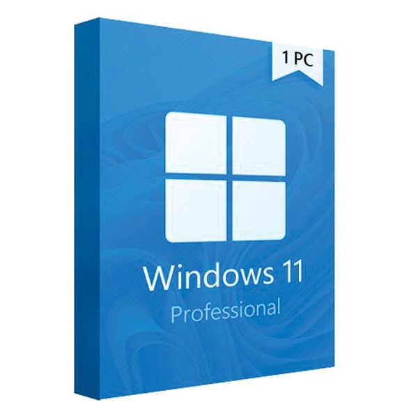 Windows 11 Professional_4
