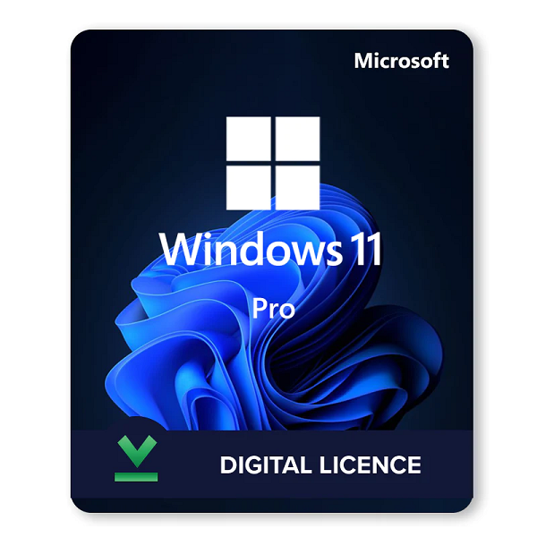 Windows 11 Professional_5